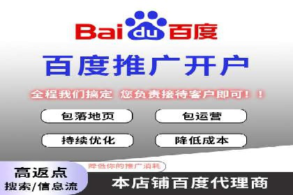 电商平台信息流广告的投放策略与效果评估案例